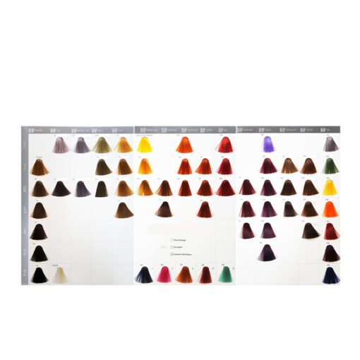 Carta de colores