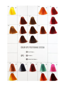 Carta de colores